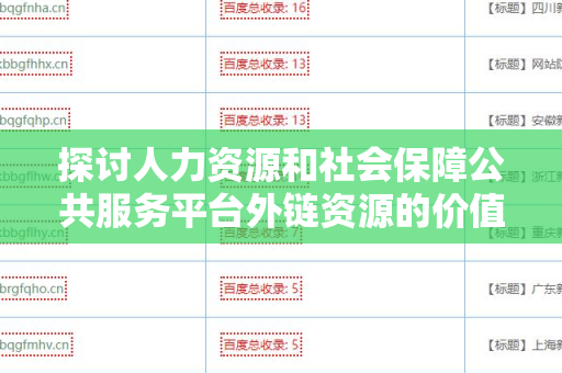 探讨人力资源和社会保障公共服务平台外链资源的价值与应用