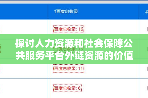 探讨人力资源和社会保障公共服务平台外链资源的价值与应用