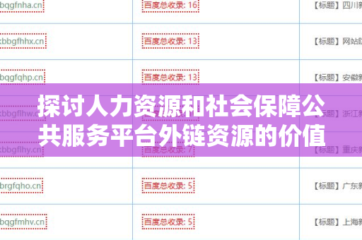 探讨人力资源和社会保障公共服务平台外链资源的价值与应用