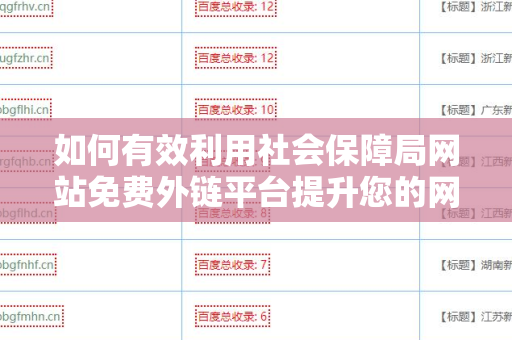 如何有效利用社会保障局网站免费外链平台提升您的网络影响力