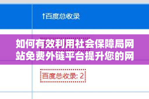 如何有效利用社会保障局网站免费外链平台提升您的网络影响力
