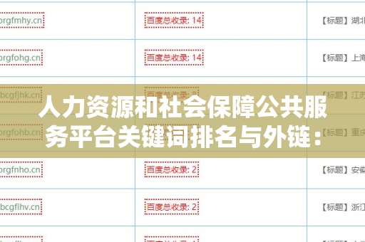 人力资源和社会保障公共服务平台关键词排名与外链：提升网站可见性的策略
