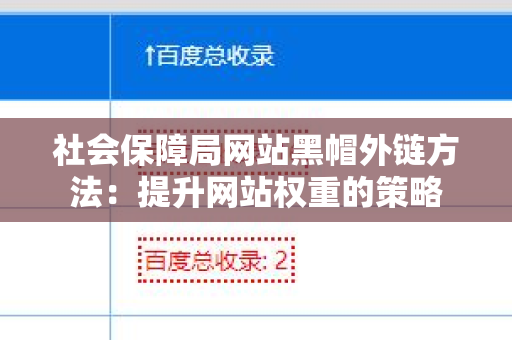 社会保障局网站黑帽外链方法：提升网站权重的策略