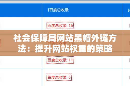 社会保障局网站黑帽外链方法：提升网站权重的策略