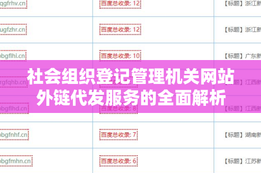 社会组织登记管理机关网站外链代发服务的全面解析