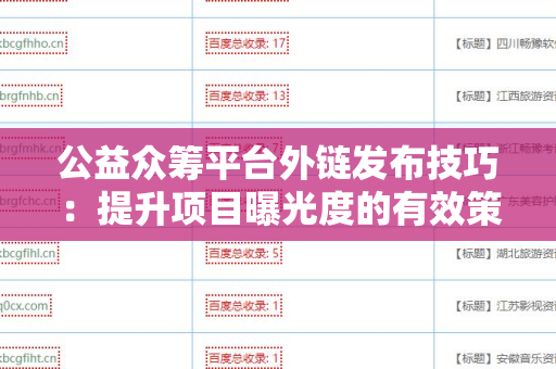 公益众筹平台外链发布技巧：提升项目曝光度的有效策略