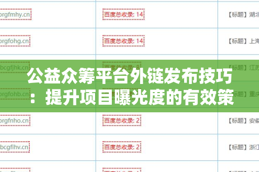 公益众筹平台外链发布技巧：提升项目曝光度的有效策略