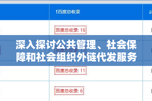 深入探讨公共管理、社会保障和社会组织外链代发服务的重要性