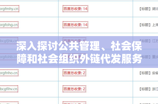 深入探讨公共管理、社会保障和社会组织外链代发服务的重要性