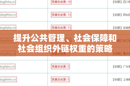 提升公共管理、社会保障和社会组织外链权重的策略