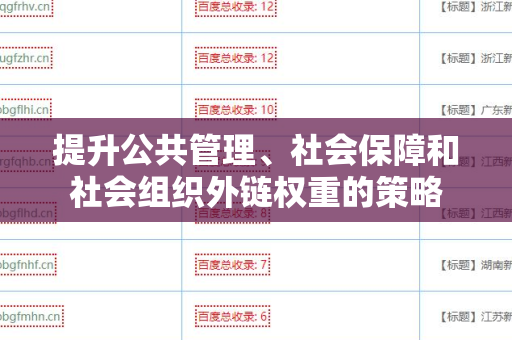 提升公共管理、社会保障和社会组织外链权重的策略