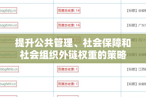 提升公共管理、社会保障和社会组织外链权重的策略