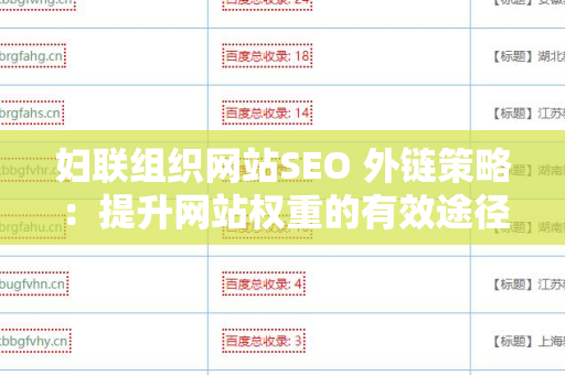 妇联组织网站SEO 外链策略：提升网站权重的有效途径