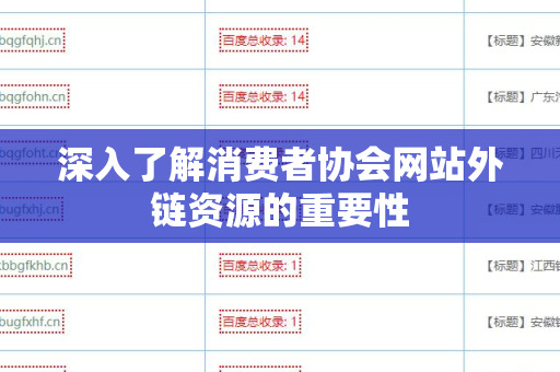 深入了解消费者协会网站外链资源的重要性