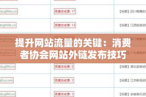 提升网站流量的关键：消费者协会网站外链发布技巧