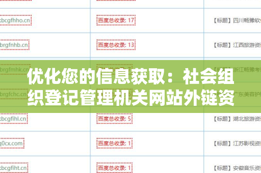 优化您的信息获取：社会组织登记管理机关网站外链资源指南
