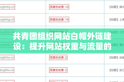 共青团组织网站白帽外链建设：提升网站权重与流量的有效策略