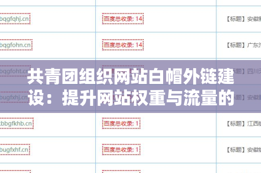 共青团组织网站白帽外链建设：提升网站权重与流量的有效策略