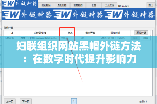 妇联组织网站黑帽外链方法：在数字时代提升影响力