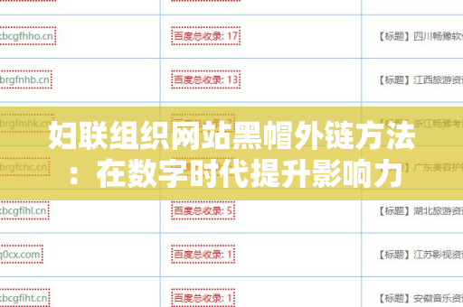 妇联组织网站黑帽外链方法：在数字时代提升影响力