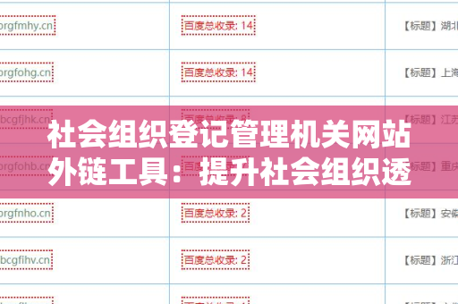 社会组织登记管理机关网站外链工具：提升社会组织透明度和效率的利器