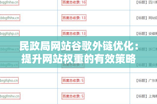 民政局网站谷歌外链优化：提升网站权重的有效策略
