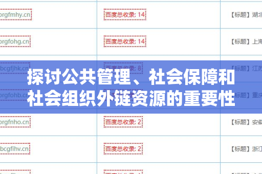 探讨公共管理、社会保障和社会组织外链资源的重要性