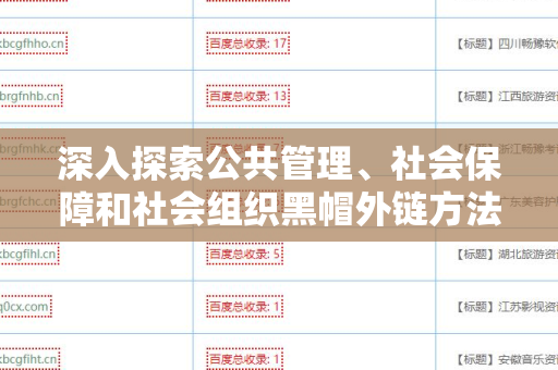 深入探索公共管理、社会保障和社会组织黑帽外链方法的潜力