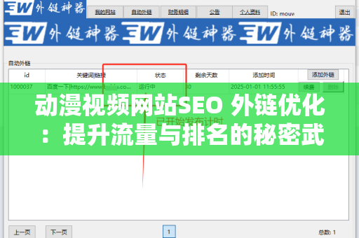 动漫视频网站SEO 外链优化：提升流量与排名的秘密武器