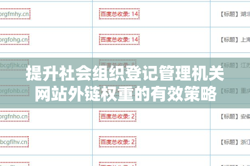 提升社会组织登记管理机关网站外链权重的有效策略