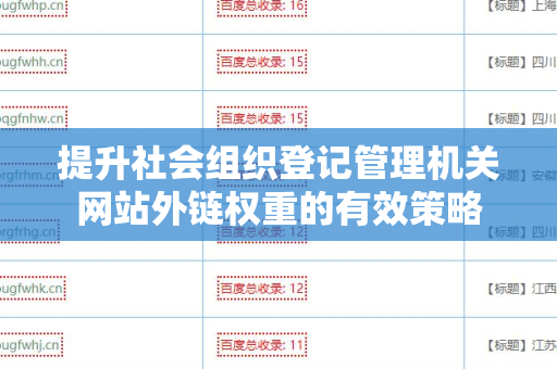 提升社会组织登记管理机关网站外链权重的有效策略