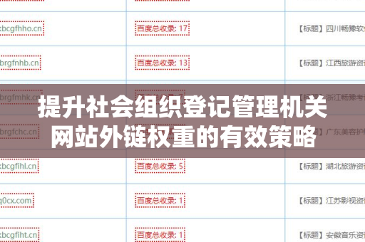 提升社会组织登记管理机关网站外链权重的有效策略