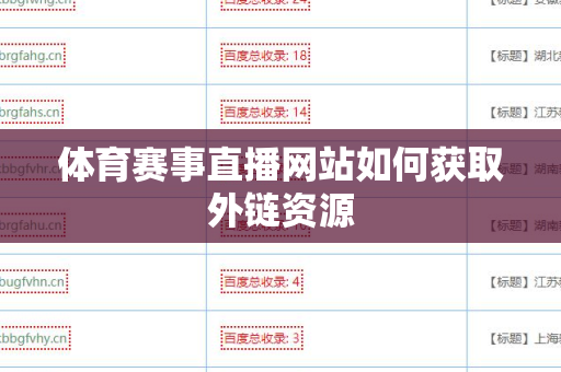 体育赛事直播网站如何获取外链资源