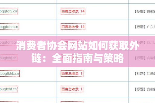 消费者协会网站如何获取外链：全面指南与策略